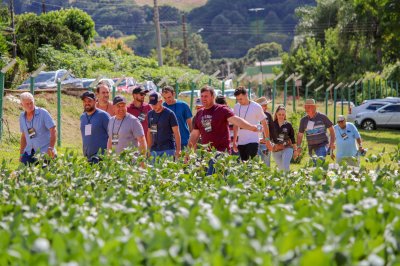 Camisc Agro re&uacute;ne produtores em Galv&atilde;o com foco em inova&ccedil;&atilde;o e troca de conhecimento