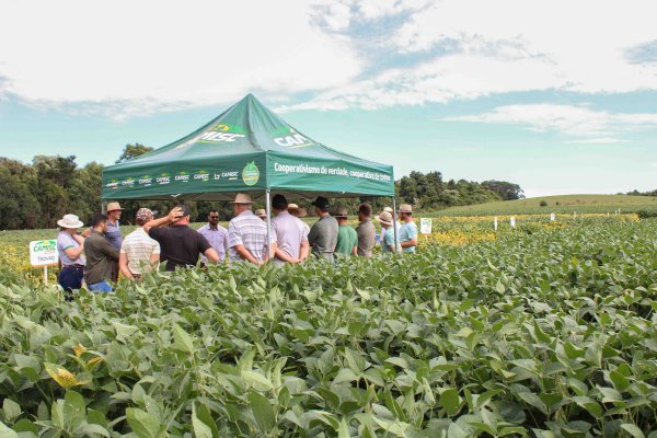 Circuito da Soja movimenta o primeiro trimestre de 2025