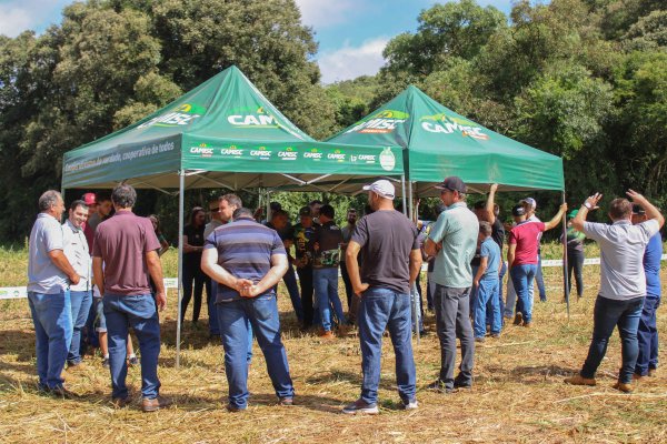 Circuito da Silagem leva conhecimento t&eacute;cnico aos produtores em Galv&atilde;o